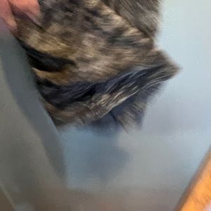 Image thumbnail 4